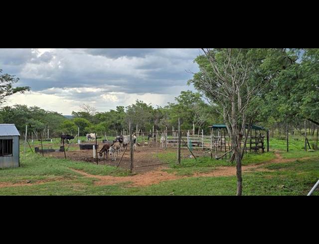 FARM FOR SALE IN DE WAGENSDRIFT AH